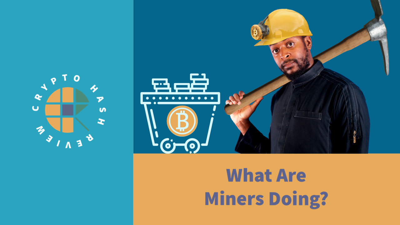 Featured image for “13 What Are Miners Doing”